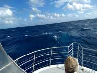 Great day of scuba diving in Key Largo with Rainbow Reef on spiegel grove tropical odyssey 2020 11 24 r10329 1