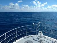 Great day of scuba diving in Key Largo with Rainbow Reef on spiegel grove tropical odyssey 2020 11 27 r10340 1