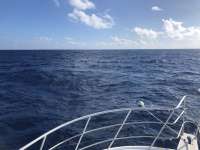 Great day of scuba diving in Key Largo with Rainbow Reef on uscgc duane tropical adventure 2020 11 01 r10271 1