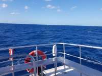 Great day of scuba diving in Key Largo with Rainbow Reef on uscgc duane tropical destiny 2020 11 26 r10335 1