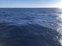 Great day of scuba diving in Key Largo with Rainbow Reef on uscgc duane tropical destiny 2020 11 29 r10354 1