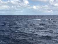 Great day of scuba diving in Key Largo with Rainbow Reef on uscgc duane tropical legend 2020 11 02 r10281 1