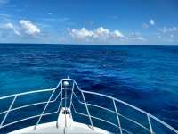 Great day of scuba diving in Key Largo with Rainbow Reef on banana patch tropical adventure 2020 10 31 r10268 1