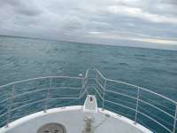 Great day of scuba diving in Key Largo with Rainbow Reef on benwood wreck tropical legend 2020 10 25 r10241 1