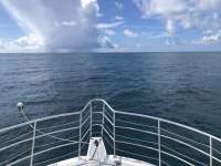 Great day of scuba diving in Key Largo with Rainbow Reef on benwood wreck tropical odyssey 2020 10 16 r10223 1