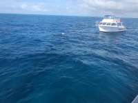 Great day of scuba diving in Key Largo with Rainbow Reef on benwood wreck tropical odyssey 2020 10 30 r10262 1