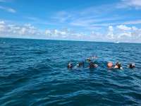 Great day of scuba diving in Key Largo with Rainbow Reef on christmastree cave tropical legend 2020 10 15 r10219 1