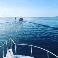 Great day of scuba diving in Key Largo with Rainbow Reef on eagle ray alley santana 2020 10 12 r10200 1