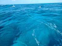 Great day of scuba diving in Key Largo with Rainbow Reef on eagle ray alley santana 2020 10 29 r10257 1