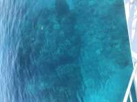 Great day of scuba diving in Key Largo with Rainbow Reef on eagle ray alley tropical adventure 2020 10 12 r10194 1