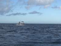 Great day of scuba diving in Key Largo with Rainbow Reef on eagle ray alley tropical serenity 2020 10 17 r10226 1