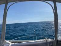Great day of scuba diving in Key Largo with Rainbow Reef on elbow reef tropical destiny 2020 10 10 r10178 1