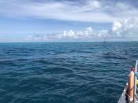 Great day of scuba diving in Key Largo with Rainbow Reef on fire coral cave tropical legend 2020 10 10 r10175 1