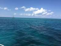 Great day of scuba diving in Key Largo with Rainbow Reef on hole in the wall santana 2020 10 13 r10206 1