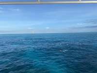 Great day of scuba diving in Key Largo with Rainbow Reef on hole in the wall tropical serenity 2020 10 11 r10182 1