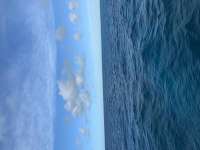 Great day of scuba diving in Key Largo with Rainbow Reef on molasses reef tropical adventure 2020 10 17 r10230 1