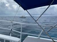 Great day of scuba diving in Key Largo with Rainbow Reef on molasses reef tropical adventure 2020 10 24 r10238 1