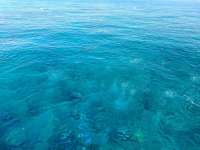 Great day of scuba diving in Key Largo with Rainbow Reef on molasses reef tropical legend 2020 10 12 r10196 1