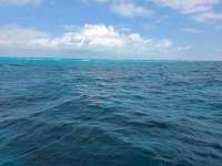 Great day of scuba diving in Key Largo with Rainbow Reef on molasses reef tropical legend 2020 10 26 r10246 1