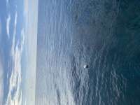 Great day of scuba diving in Key Largo with Rainbow Reef on molasses reef tropical serenity 2020 10 01 r10151 1