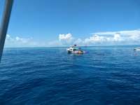 Great day of scuba diving in Key Largo with Rainbow Reef on molasses reef tropical serenity 2020 10 12 r10198 1