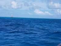 Great day of scuba diving in Key Largo with Rainbow Reef on permit ledges santana 2020 10 31 r10269 1