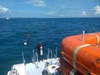 Great day of scuba diving in Key Largo with Rainbow Reef on pickles reef tropical legend 2020 10 11 r10187 1