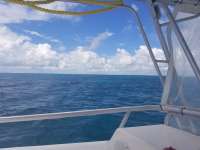 Great day of scuba diving in Key Largo with Rainbow Reef on pickles reef tropical legend 2020 10 18 r10235 1