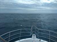 Great day of scuba diving in Key Largo with Rainbow Reef on snapper ledge tropical legend 2020 10 25 r10243 1