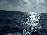 Great day of scuba diving in Key Largo with Rainbow Reef on spiegel grove tropical adventure 2020 10 27 r10249 1