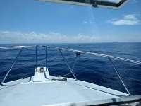 Great day of scuba diving in Key Largo with Rainbow Reef on spiegel grove tropical explorer 2020 10 01 r10156 1