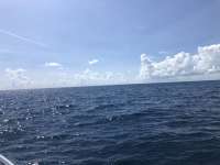 Great day of scuba diving in Key Largo with Rainbow Reef on spiegel grove tropical explorer 2020 10 11 r10190 1