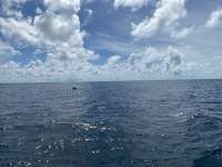 Great day of scuba diving in Key Largo with Rainbow Reef on spiegel grove tropical explorer 2020 10 15 r10216 1