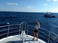 Great day of scuba diving in Key Largo with Rainbow Reef on spiegel grove tropical odyssey 2020 10 14 r10210 1