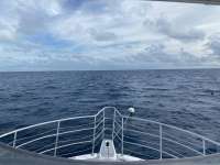 Great day of scuba diving in Key Largo with Rainbow Reef on spiegel grove tropical odyssey 2020 10 17 r10229 1