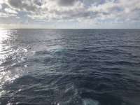 Great day of scuba diving in Key Largo with Rainbow Reef on spiegel grove tropical odyssey 2020 10 31 r10265 1