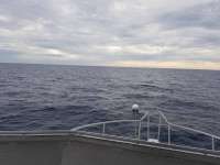 Great day of scuba diving in Key Largo with Rainbow Reef on spiegel grove tropical serenity 2020 10 02 r10160 1