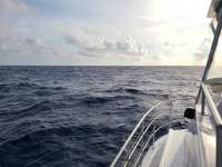 Great day of scuba diving in Key Largo with Rainbow Reef on uscgc bibb tropical odyssey 2020 10 28 r10252 1