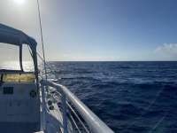 Great day of scuba diving in Key Largo with Rainbow Reef on uscgc duane tropical adventure 2020 10 29 r10256 1