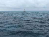 Great day of scuba diving in Key Largo with Rainbow Reef on winch hole tropical destiny 2020 10 24 r10239 1
