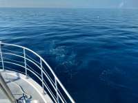 Great day of scuba diving in Key Largo with Rainbow Reef on benwood wreck tropical legend 2020 09 20 r10085 1