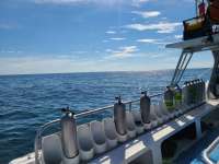 Great day of scuba diving in Key Largo with Rainbow Reef on benwood wreck tropical serenity 2020 09 30 r10128 1