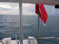 Great day of scuba diving in Key Largo with Rainbow Reef on benwood wreck tropical voyager 2020 09 25 r10091 1