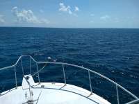 Great day of scuba diving in Key Largo with Rainbow Reef on christ statue tropical serenity 2020 09 18 r10069 1