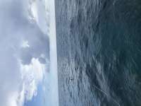 Great day of scuba diving in Key Largo with Rainbow Reef on christmastree cave tropical adventure 2020 09 28 r10108 1