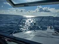Great day of scuba diving in Key Largo with Rainbow Reef on drift molasses tropical explorer 2020 09 30 r10127 1
