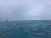 Great day of scuba diving in Key Largo with Rainbow Reef on eagle ray alley santana 2020 09 07 r10030 1