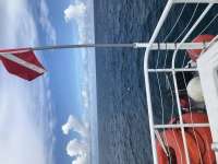 Great day of scuba diving in Key Largo with Rainbow Reef on eagle ray alley tropical adventure 2020 09 28 r10113 1