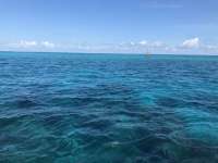 Great day of scuba diving in Key Largo with Rainbow Reef on eagle ray alley tropical legend 2020 09 18 r10068 1