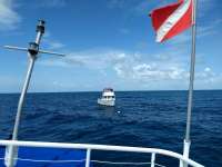 Great day of scuba diving in Key Largo with Rainbow Reef on french reef tropical adventure 2020 09 06 r10026 1